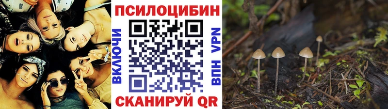 Псилоцибиновые грибы прущие грибы Катайск