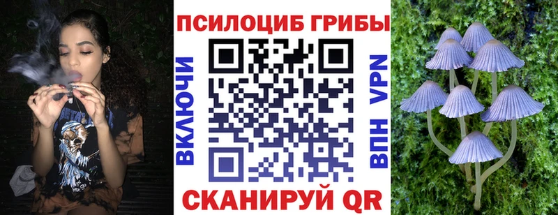 kraken ONION  хочу наркоту  Катайск  Галлюциногенные грибы Cubensis 